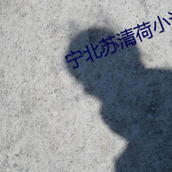 宁北苏清荷小(xiǎo)说全(quán)文(wén)免费阅读(dú)