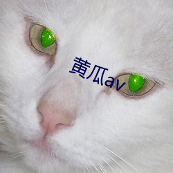 黄瓜av