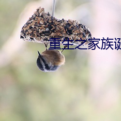 重生之(zhī)家族诞生
