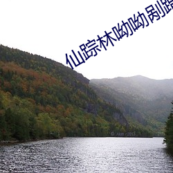 仙(xiān)踪林(lín)呦呦剐蹭