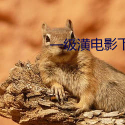 一级潢电影下载