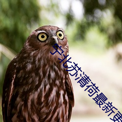 宁北苏清(清)荷最新(新)更(更)新章节