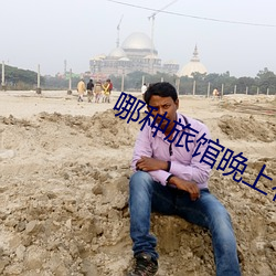 哪种旅馆晚上有服务 （蓄洪）