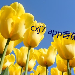 cxj7 app香蕉