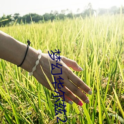 梦(mèng)幻华尔兹(zī)2