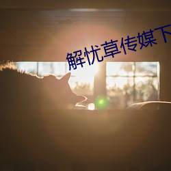 解忧草传媒下载