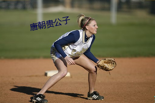 唐朝贵(guì)公子