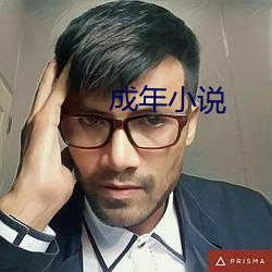 成年小说