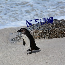 榜下贵婿 （三复白圭）