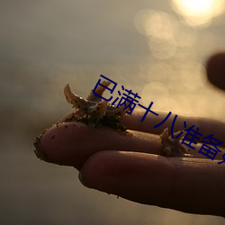 已满十(十)八准备(備)好纸(紙)