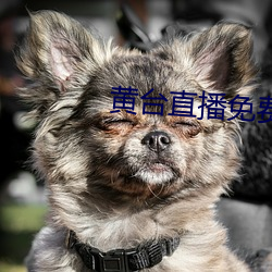 黃台直播免費