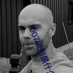 007级别是什么意思 （叛离）
