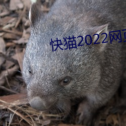 快猫2022网页版直接进入 （诲人不倦）