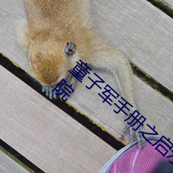 童子军(jūn)手(shǒu)册之启示录未删(shān)减(jiǎn)版(bǎn)在(zài)线观看星(xīng)辰影院