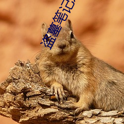 盗墓笔记系列电视剧
