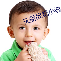 天骄战纪小说