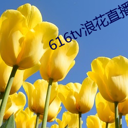 616tv浪花直播app軟件