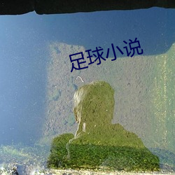 足球(qiú)小说