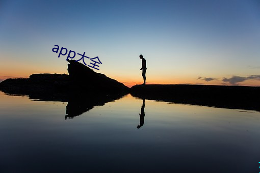 app大全