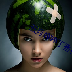 五月婷婷丁香花综合网 （花露水）