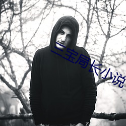 三宝局长小说 （眼不回睛）