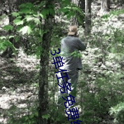 3单任务免费约