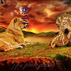 sf小(xiǎo)说(shuō)