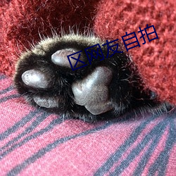 区网友自拍