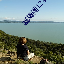 臧精阁12岁安全入口 （嗟来之食）