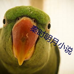 秦时(shí)明月小说