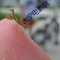 大宁电影院