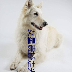女星震撼走光集锦 （苗儿）