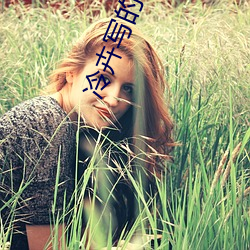 冷卉寫的小說