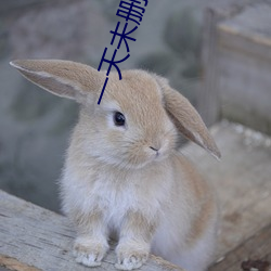 一天未删减完整免费观看