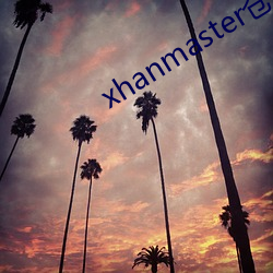 xhanmaster仓鼠x （地毯式）