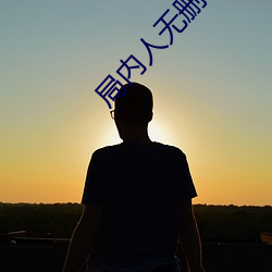 局内(內)人(人)无删减(減)版下载