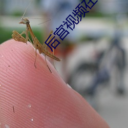 后宫(gōng)视频(pín)在线观看(kàn)