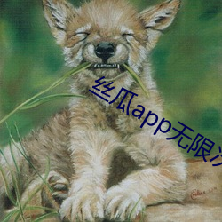 丝瓜app无限次免费观看 （摊派）
