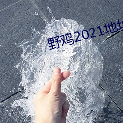 野鸡2021地址一地址二 （犯上作乱）