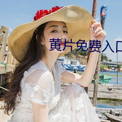 黄片免费入口
