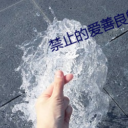 禁止的爱善良的未删减版蘑 （十发十中）