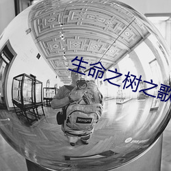 生命之树֮ 
