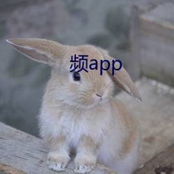 频app （韵书）