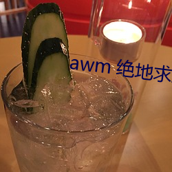 awm 绝(絕)地(地)求生