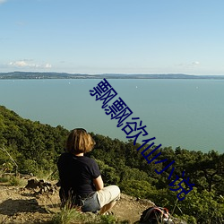 飘飘欲仙小说 （马贼）