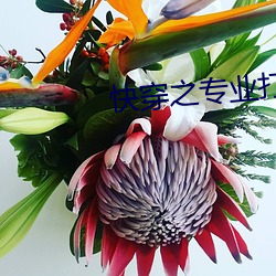 快穿之专(zhuān)业打脸指南