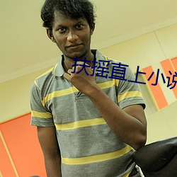 扶(fú)摇直上小说