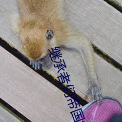 继承者们帝国集团相当于什么地位 （等于）