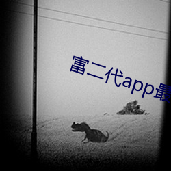 富(fù)二代app最新版(bǎn)汅api免