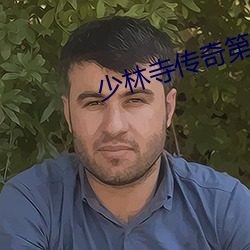 少林寺传奇第一(yī)部(bù)电视剧(jù)